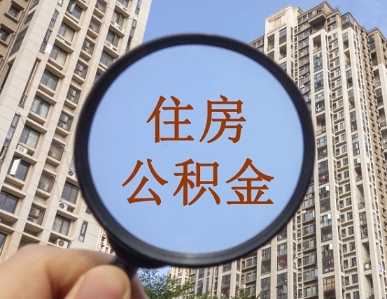 甘肃退休后查不到公积金明细了吗（退休后公积金查询不到原因）